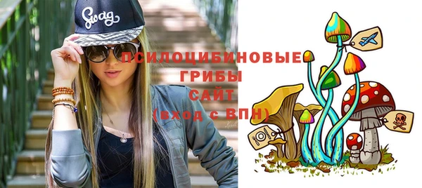 спайс Алзамай
