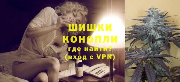 спайс Алзамай