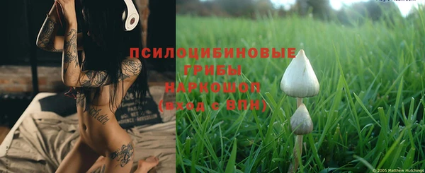 каннабис Алексеевка