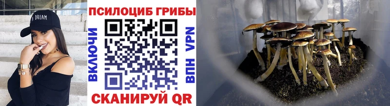 Галлюциногенные грибы мицелий  Бирск 